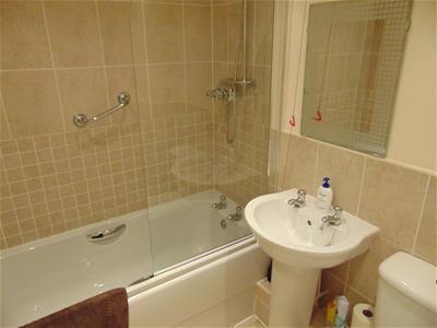 Picture 16